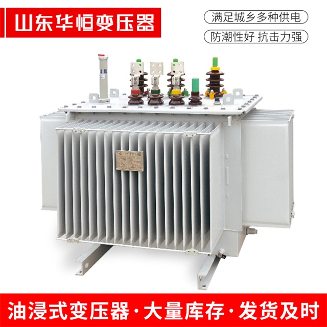 S13-10000/35清河门清河门清河门电力变压器